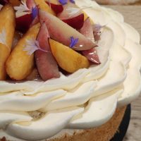 frtuite p 2